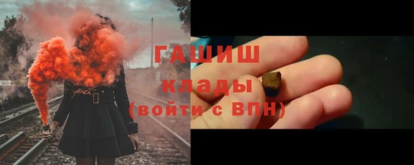 шишки Гусиноозёрск